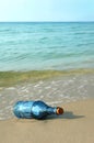 Old Bottle on the Shore