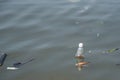 Old bottles floating in the water.Garbage in river