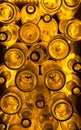 Old bottles of rum | Yellow/gold light Royalty Free Stock Photo