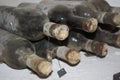 Old bottles of vine