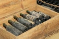 Old bottles in wine cellar Royalty Free Stock Photo