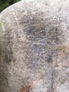 Fragment of old boulder with imprint of dinasaur Royalty Free Stock Photo