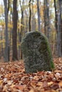 Old Boundary Stone