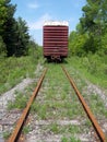 Old Boxcar on Tracks Royalty Free Stock Photo