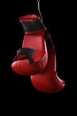 Old boxing gloves hang on nail black background Royalty Free Stock Photo