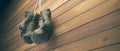 Old boxing gloves hang on nail on wooden wall with copy space for text. High resolution 3d render Royalty Free Stock Photo