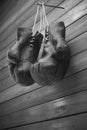 Old boxing gloves hang on nail on wooden wall with copy space for text. High resolution 3d render Royalty Free Stock Photo