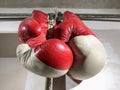 Old boxing gloves hang on the wall