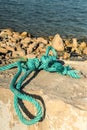 Malta, Marsaxlokk, August 2020. Green sea rope on the yellow stone of the embankment.