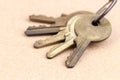 Old brass keys with key chain Royalty Free Stock Photo