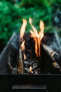 Old brazier with burning firewood on the backyard Royalty Free Stock Photo