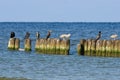 Old breakwater