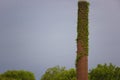 Old brick coal stack covered with vines Royalty Free Stock Photo