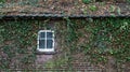 An old brick house overgrown with ivy. Royalty Free Stock Photo