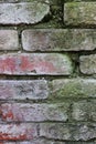 Old brick and moss. Brick wall close-up. The wall is overgrown with moss. The texture of an old brick. Red brick and Royalty Free Stock Photo