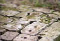 Old brick paving background closeup. Vintage brick texture Royalty Free Stock Photo