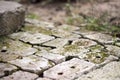 Old brick paving background closeup. Vintage brick texture Royalty Free Stock Photo