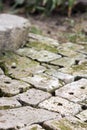 Old brick paving background closeup. Vintage brick texture Royalty Free Stock Photo