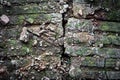 Old brick ruins with moss covered.