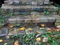 Old brick steps. Autumn leaves, wet, rain Royalty Free Stock Photo