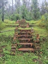 Old brick steps in the Newnes Industrial ruins