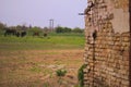 An old brick stone wall