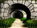 old brick tunnel in the park