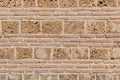 Old brick wall Royalty Free Stock Photo