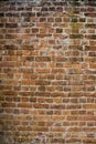 Old brick wall Royalty Free Stock Photo