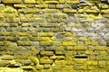 Old brick wall abstract coloured Royalty Free Stock Photo