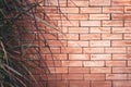 Old brick wall background decorative with grass on vintage tone Royalty Free Stock Photo