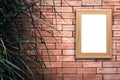 Old brick wall background decorative with grass on vintage tone Royalty Free Stock Photo