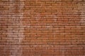 The old brick wall background exudes a rustic charm with weathered bricks and worn mortar telling stories of the past.