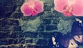Old Brick Wall, Butterfly And Magic Flowers. Fantasy Vintage Background