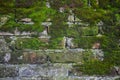 Old brick wall construction covered in green moss Royalty Free Stock Photo