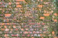 Old brick wall covered with moss Royalty Free Stock Photo