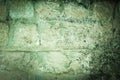 old brick wall. cracked concrete. Green tide, celadon green texture. vintage background. rustic style, mold. Royalty Free Stock Photo