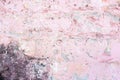 old brick wall. cracked concrete. pink, brown texture. vintage background. rustic style, mold. Royalty Free Stock Photo