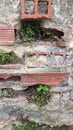 An old brick wall is crumbling and grass grows in its holes Royalty Free Stock Photo