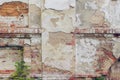 Old brick wall, crumbling stucco, background texture Royalty Free Stock Photo