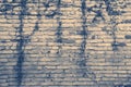 Old brick wall with a few branches of ivy Royalty Free Stock Photo