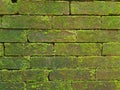 old brick wall full of moss Royalty Free Stock Photo