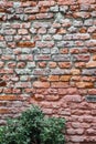 Old brick wall Royalty Free Stock Photo