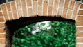 Old brick wall and green leaves in the garden, selective focus Royalty Free Stock Photo