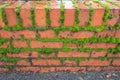 Old brick wall with green moss growing in the crevices Royalty Free Stock Photo