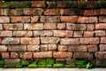 Old brick wall with green moss Royalty Free Stock Photo