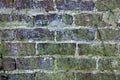 Old brick wall with mold and lichens