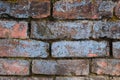 Old brick wall with moss and lichen. Abstract background and texture for design Royalty Free Stock Photo
