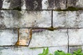 Old brick of the wall of old Fincas Royalty Free Stock Photo