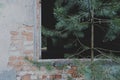 Old brick wall of a ruined abandoned house and a fir tree. Depressive Post-apocalypse atmosphere. Background texture with free Royalty Free Stock Photo